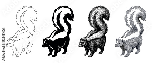 Four black and white skunk illustrations in a collection of artistic styles like continuous line drawing, solid silhouette, detailed engraving, and dotwork stippling