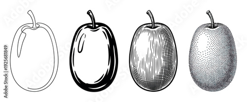 Four black and white plum fruit illustrations demonstrating a progression of artistic styles from simple outline and bold ink to classic engraving and modern stippling