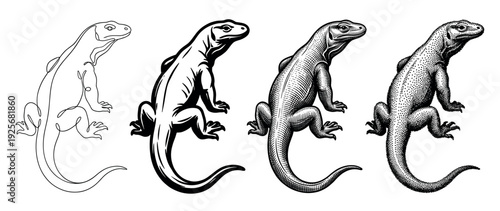 Set of four Komodo dragon illustrations showing a progression of artistic styles from simple one-line art to detailed stippling and engraving in a monochrome design