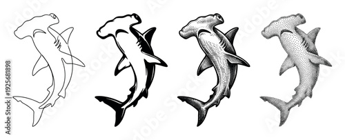 Set of four hammerhead shark illustrations showing different artistic styles including line art, silhouette, detailed engraving, and stippling for a tattoo or logo design
