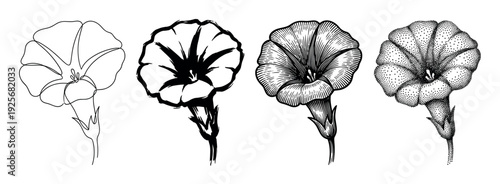 Four black and white flower illustrations showing different artistic techniques including continuous line art, bold ink, classic engraving, and detailed stippling for a botanical study
