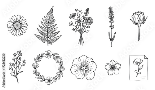 Collection of hand-drawn botanical illustrations featuring a daisy, fern leaf, rose, lavender, wildflower bouquet, and a floral wreath in a minimalist line art style