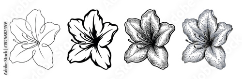 Set of four black and white flower illustrations showing different artistic techniques from line art and stencil to detailed engraving and stippling styles for botanical design