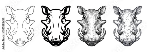 Four black and white warthog head illustrations in a set showing different artistic styles from minimalist line art and bold stencil to classic engraving and dotwork
