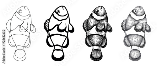 Four clownfish illustrations in different artistic styles showing a progression from simple line art to complex stippling, including engraving and bold outline techniques for a creative concept