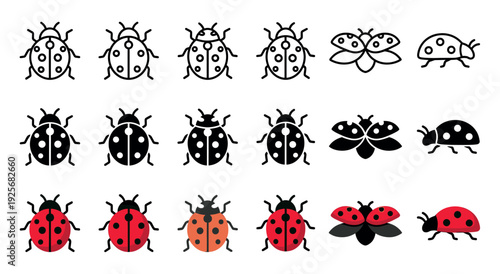 Collection of ladybug icons in various styles including outline, silhouette, and full color, illustrating the insect from top-down, side, and flying perspectives
