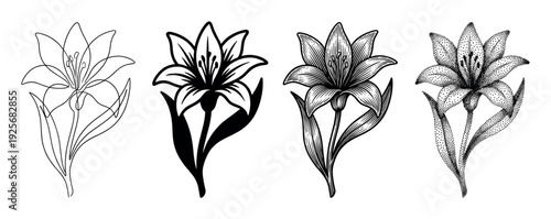 Set of four black lily flower illustrations showing different artistic styles including line art, silhouette, vintage engraving, and stippling for a botanical design collection
