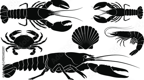 Wildlife silhouette collection with owl crab snail caterpillar and diverse marine life including shark whale and octopus for nature and aquatic design