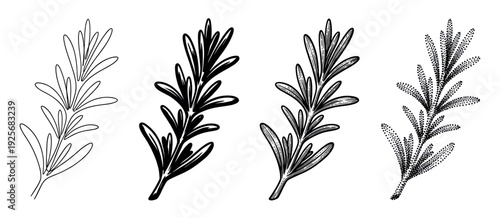 Set of four rosemary sprig illustrations in different artistic styles including line art, silhouette, vintage engraving, and stippling, showing a hand-drawn botanical collection