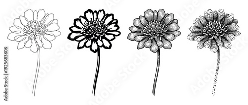 Four black and white flower illustrations showcase different artistic techniques including continuous line art, bold graphic silhouette, detailed engraving, and dotwork stippling