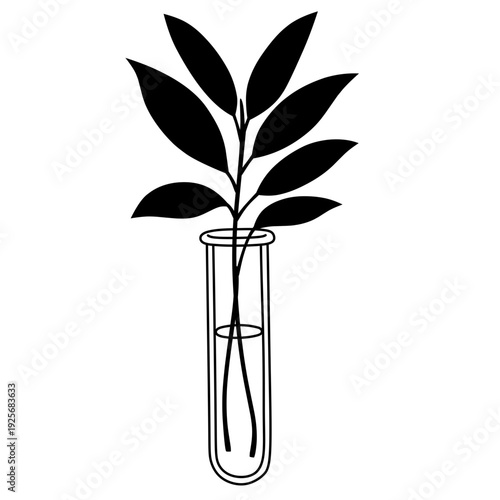 Aesthetic ornamental plant silhouettes