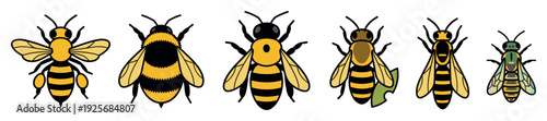 Collection of six different bee and wasp species including a bumblebee, honeybee, and leafcutter, illustrated in a simple graphic style with bold outlines for entomology