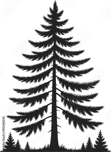 Coniferous tree silhouette icons with forest landscape and nature theme for educational and decorative design - black vector illustration set