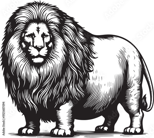 Fat overweight body positive chubby lion with a prominent mane, showcasing vintage art style and majestic appearance sketch engraving generative ai raster illustration. Scratch board. Black and white.