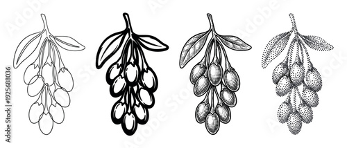 Goji berry branch illustrations in four styles including line art, engraving, and stippling for botanical and food concepts, a detailed black and white artistic collection