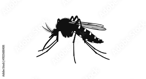 Black and white illustration of a mosquito with detailed wings and legs