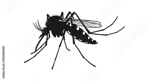 Black and white illustration of a mosquito viewed from a side angle