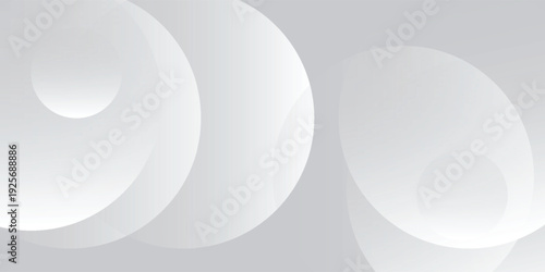 Abstract white and gray color background. vector geometric