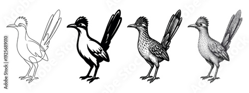 Four roadrunner bird illustrations in different artistic styles, including continuous line art, black and white silhouette, detailed engraving, and stippling dotwork