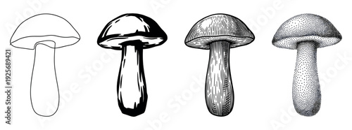 Set of four mushroom illustrations showcasing different artistic techniques, including simple outline, bold ink style, detailed engraving with hatching, and dotwork stippling