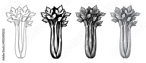 Four celery vegetable illustrations in various graphic styles including line art, engraving, and stippling, presented as a black and white vintage-style collection