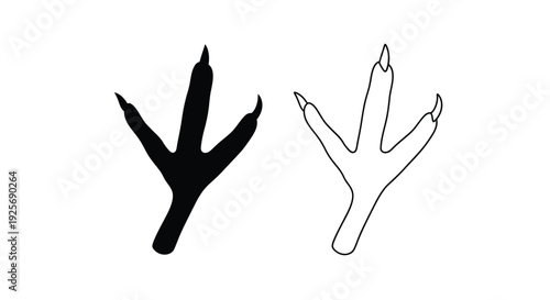 Bird footprints one dark and one light shown as a silhouette