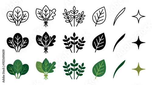 Collection of leafy green vegetable and herb icons in three different styles including line art, solid glyph, and full color versions for healthy food and cooking concepts