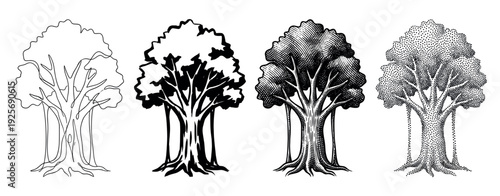 Set of four banyan tree illustrations showing different artistic techniques including line art, silhouette, engraving, and stippling for a classic, hand-drawn look