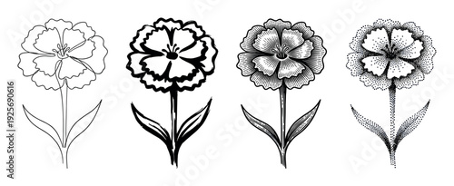 Four black and white flower illustrations showcasing different artistic techniques like continuous line drawing, brush stroke, vintage engraving, and stippling dotwork