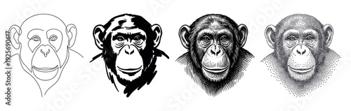 Set of four chimpanzee head illustrations showcasing different artistic techniques from minimalist one-line drawing and bold stencil to classic engraving and detailed stippling