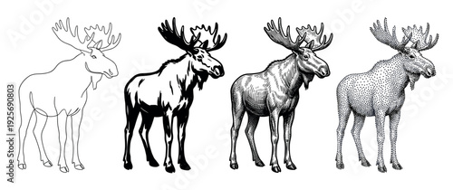 Four black and white moose illustrations showing different artistic techniques including simple line art, a solid silhouette, detailed engraving, and dotwork stippling