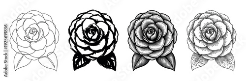 Set of four black rose illustrations showcasing different artistic techniques like continuous line art, rough ink sketch, detailed vintage engraving, and stippling