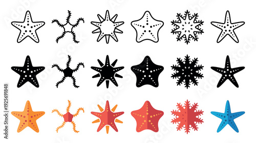 Collection of starfish icons in various styles including outline, silhouette, and flat color design, showing different species and shapes of marine sea stars for graphic design