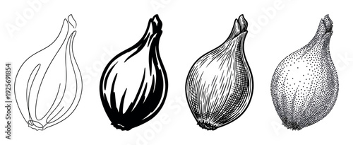 Shallot onion vegetable illustration set featuring four distinct graphic styles: minimalist line art, bold silhouette, classic vintage engraving, and detailed dotwork stippling