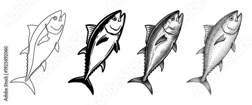 Set of four tuna fish illustrations showcasing different graphic styles, including simple line art, bold silhouette, detailed engraving, and classic stippling dotwork