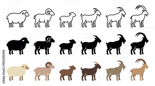 Set of farm animal icons including sheep, ram, lamb, and goat presented in three different styles: outline, solid black silhouette, and simple flat color vector illustration