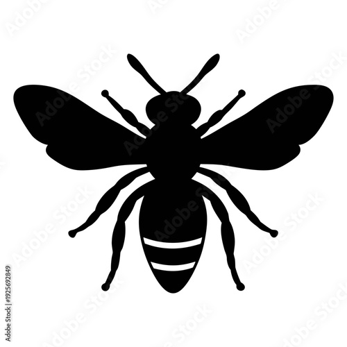 Isolated black bee vector illustration for honey bee icon or bee logo design and graphic elements