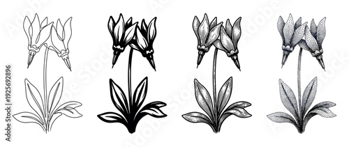 Set of four botanical flower illustrations in black and white, showcasing different graphic styles like simple outline, solid silhouette, detailed engraving, and dotwork stippling