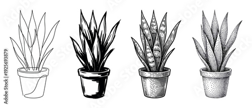 Four potted snake plant illustrations showing a collection of different artistic techniques like continuous line art, rough sketch, vintage engraving, and dotwork stippling