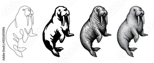 Set of four walrus illustrations showing different artistic techniques including continuous line, block print, engraving, and stippling for graphic design elements