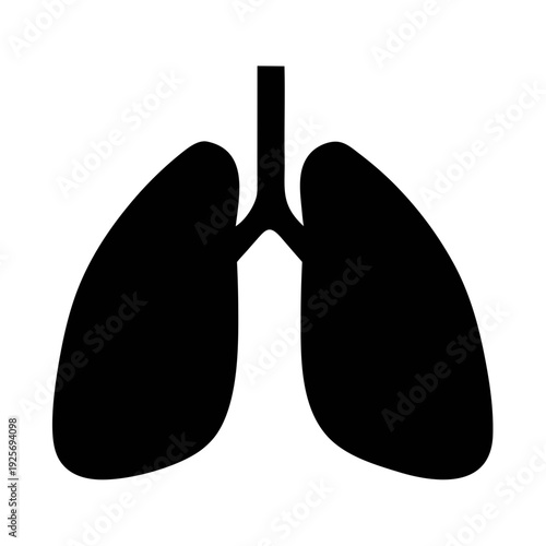 Illustration of human lungs for medical education and healthcare awareness and pulmonary health
