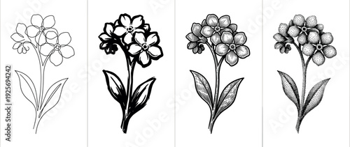 Set of four forget-me-not flower illustrations in different artistic styles including line art, ink brush, vintage engraving, and stippling in a monochrome botanical design