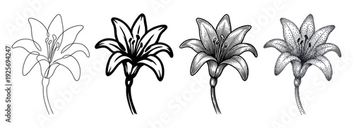 Collection of four lily flower illustrations showing different artistic styles including continuous line art, bold outline, vintage engraving, and modern stippling dotwork