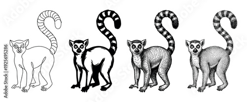 Four ring-tailed lemur illustrations in different artistic styles showing a progression from simple line art to a detailed stippling technique in a black and white collection