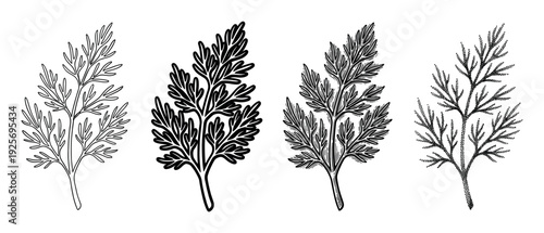 Four black and white herb sprig illustrations in different graphic styles including simple outline, solid silhouette, detailed engraving, and minimalist stippling art