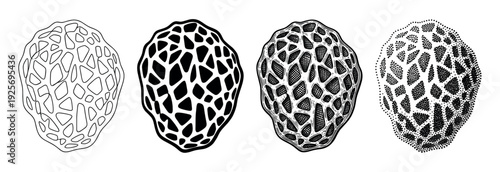 Four black and white morel mushroom illustrations in a row showcasing different graphic techniques like line art, silhouette, detailed engraving, and stippling art