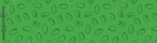 pistachio vector line art background