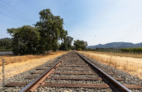 Railroad tracks in Napa Valley, California in summer