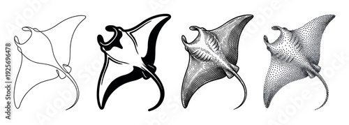 Four manta ray illustrations in different artistic styles including continuous line art, solid silhouette, vintage engraving, and dotwork stippling, showcasing a creative graphic design set