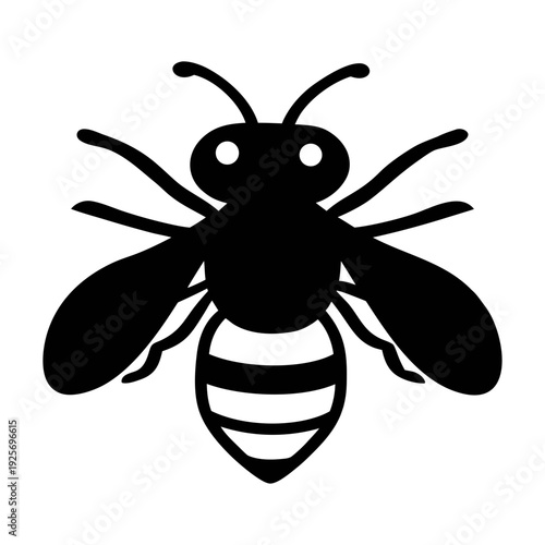 Vector graphic of a black and white bee insect flying with wings open for apiary designs and art